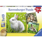 PUZZLE IEPURASI, 3X49 PIESE - RAVENSBURGER (RVSPC08041) - Libelula Vesela - Jucarii