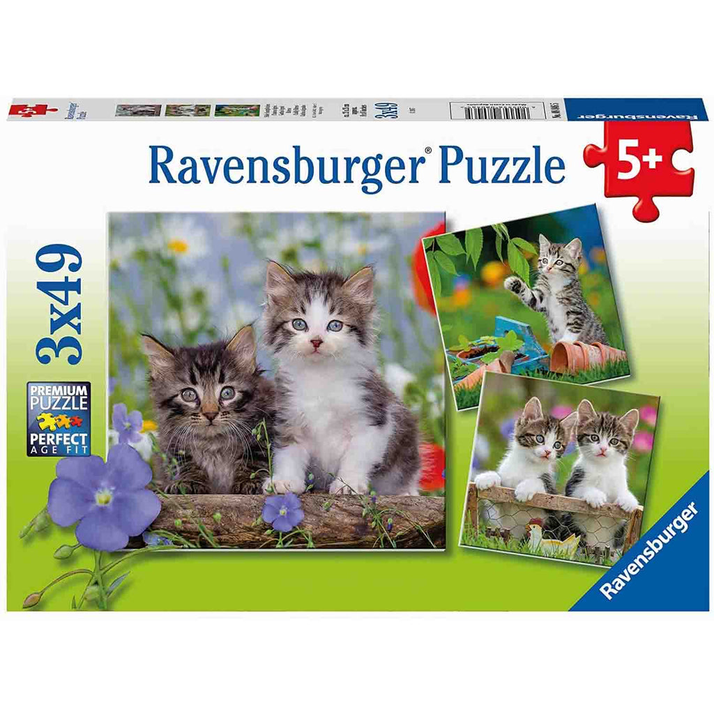 PUZZLE PISICUTE TIGRATE, 3X49 PIESE - RAVENSBURGER (RVSPC08046) - Libelula Vesela - Jucarii