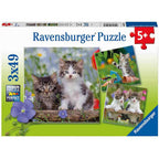 PUZZLE PISICUTE TIGRATE, 3X49 PIESE - RAVENSBURGER (RVSPC08046) - Libelula Vesela - Jucarii