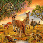 PUZZLE ANIMALELE PAMANTULUI, 3X49 PIEASE - RAVENSBURGER (RVSPC09330) - Libelula Vesela - Jucarii