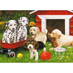 PUZZLE PETRECEREA CATEILOR, 60 PIESE - RAVENSBURGER (RVSPC09526) - Libelula Vesela - Jucarii