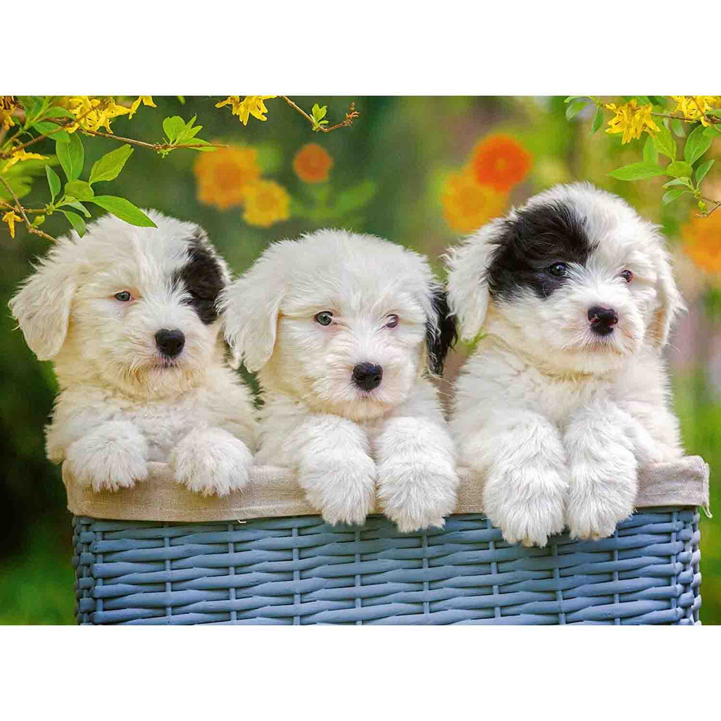 PUZZLE CATELUSI, 200 PIESE - RAVENSBURGER (RVSPC12765) - Libelula Vesela - Jucarii