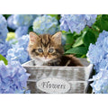 PUZZLE PISICUTA INTRE FLORI, 300 PIESE - RAVENSBURGER (RVSPC12894) - Libelula Vesela - Jucarii