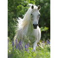 PUZZLE CAL ALB, 100 PIESE - RAVENSBURGER (RVSPC12927) - Libelula Vesela - Jucarii