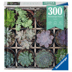 PUZZLE PLANTE SUCULENTE, 300 PIESE - RAVENSBURGER (RVSPA12967) - Libelula Vesela - Jucarii
