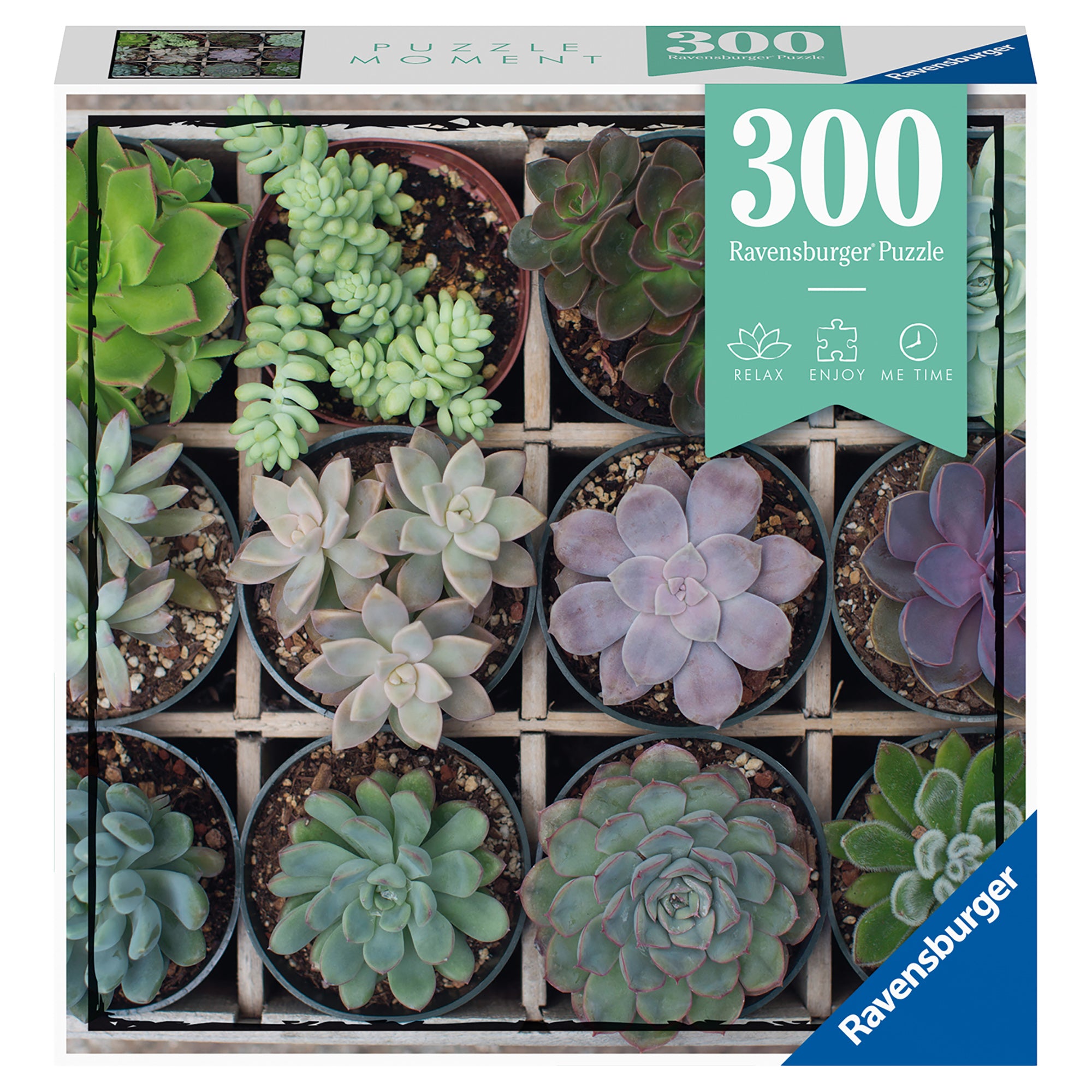 PUZZLE PLANTE SUCULENTE, 300 PIESE - RAVENSBURGER (RVSPA12967) - Libelula Vesela - Jucarii