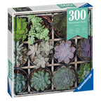 PUZZLE PLANTE SUCULENTE, 300 PIESE - RAVENSBURGER (RVSPA12967) - Libelula Vesela - Jucarii