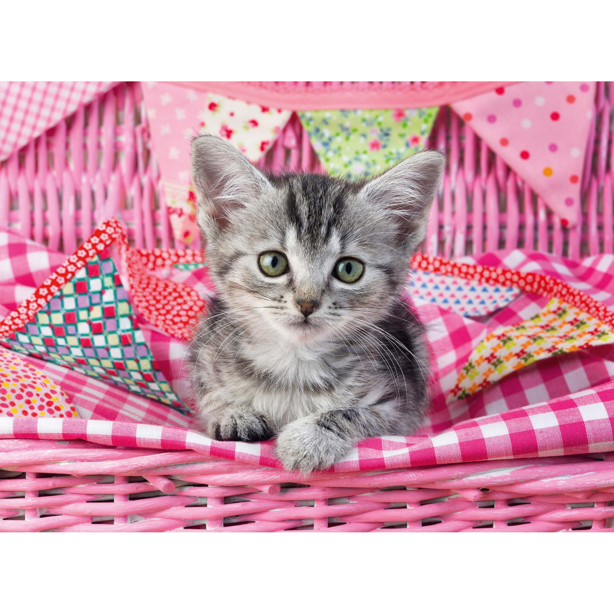 PUZZLE PISICUTA, 100 PIESE - RAVENSBURGER (RVSPC12985) - Libelula Vesela - Jucarii