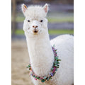 PUZZLE ALPACA, 200 PIESE - RAVENSBURGER (RVSPA13270) - Libelula Vesela - Jucarii