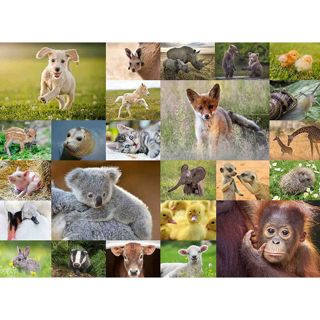 PUZZLE PUI DE ANIMALE, 200 PIESE - RAVENSBURGER (RVSPC13353) - Libelula Vesela - Jucarii