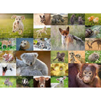 PUZZLE PUI DE ANIMALE, 200 PIESE - RAVENSBURGER (RVSPC13353) - Libelula Vesela - Jucarii