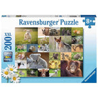 PUZZLE PUI DE ANIMALE, 200 PIESE - RAVENSBURGER (RVSPC13353) - Libelula Vesela - Jucarii