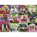 PUZZLE CATELUSI, 500 PIESE - RAVENSBURGER (RVSPA14659) - Libelula Vesela - Jucarii