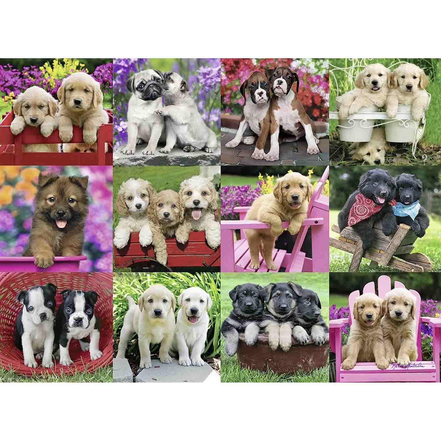 PUZZLE CATELUSI, 500 PIESE - RAVENSBURGER (RVSPA14659) - Libelula Vesela - Jucarii