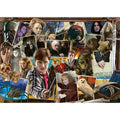 PUZZLE HARRY POTTER VS VOLDEMORT, 1000 PIESE - RAVENSBURGER (RVSPA15170) - Libelula Vesela - Jucarii
