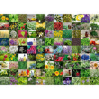 PUZZLE 99 DE PLANTE SI CONDIMENTE, 1000 PIESE - RAVENSBURGER (RVSPA15991) - Libelula Vesela - Jucarii