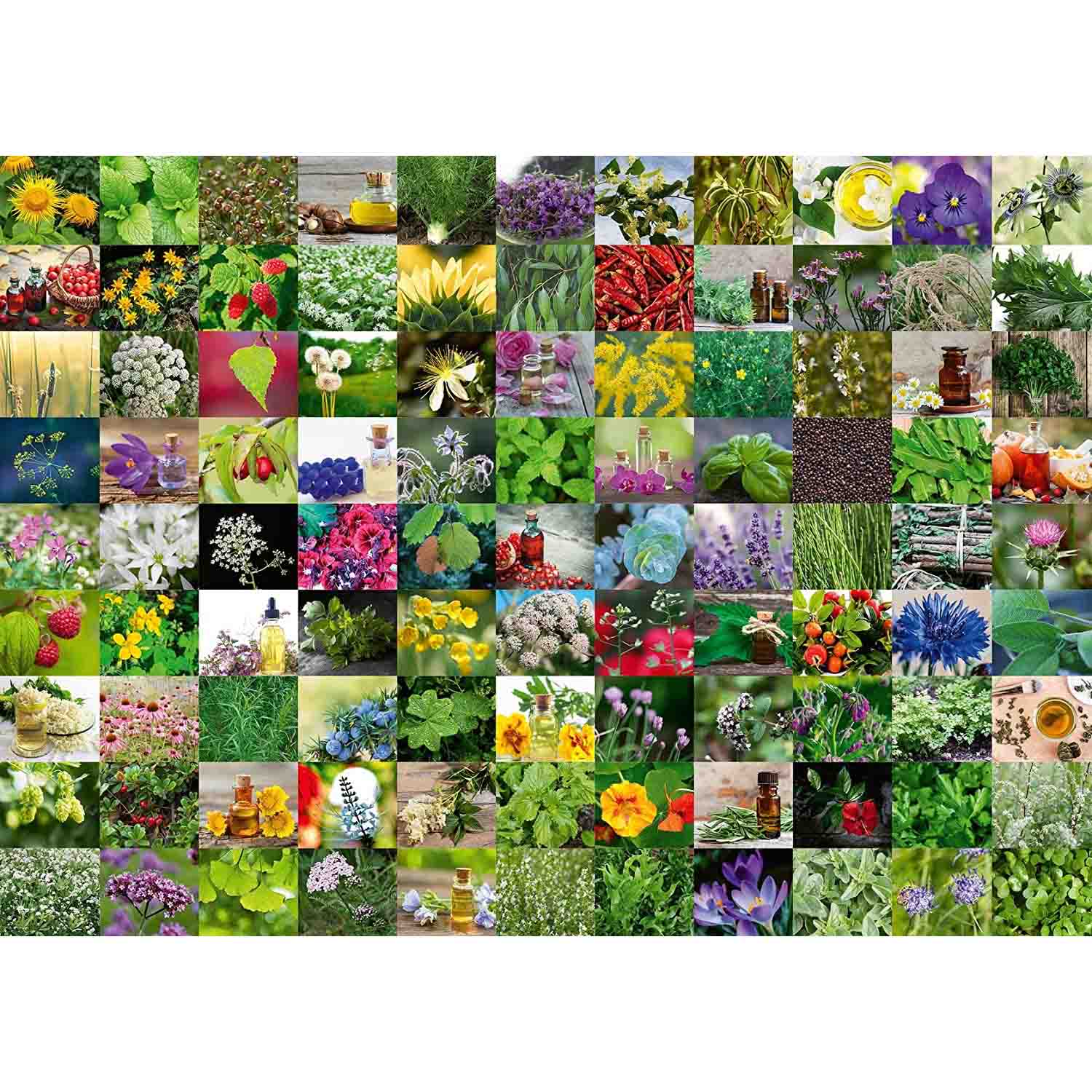PUZZLE 99 DE PLANTE SI CONDIMENTE, 1000 PIESE - RAVENSBURGER (RVSPA15991) - Libelula Vesela - Jucarii