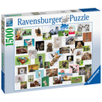 PUZZLE COLAJ CU ANIMALE, 1500 PIESE - RAVENSBURGER (SPA16711) - Libelula Vesela - Jucarii