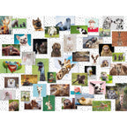 PUZZLE COLAJ CU ANIMALE, 1500 PIESE - RAVENSBURGER (SPA16711) - Libelula Vesela - Jucarii