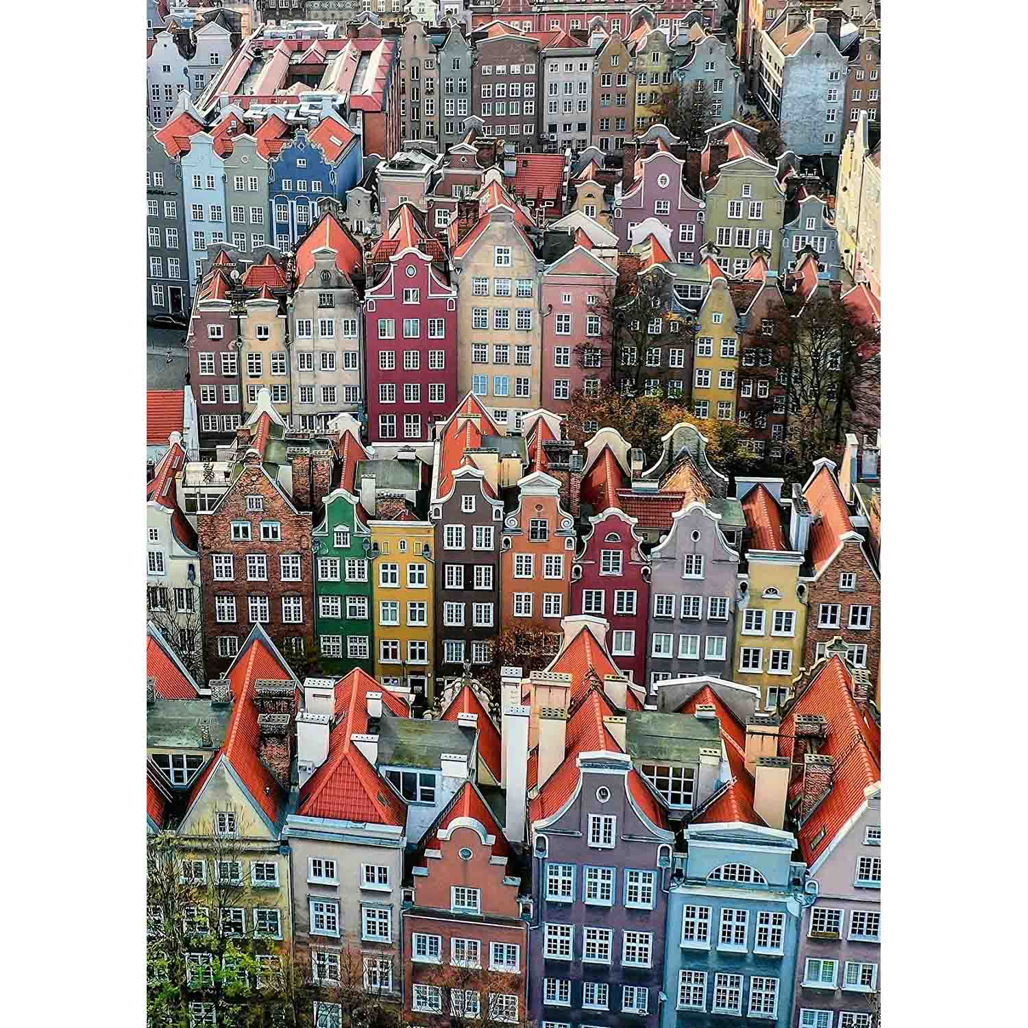 PUZZLE GDANSK POLONIA, 1000 PIESE - RAVENSBURGER (RVSPA16726) - Libelula Vesela - Jucarii