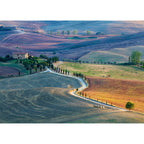 PUZZLE PIENZA, 1000 PIESE - RAVENSBURGER (SPA16779) - Libelula Vesela - Jucarii