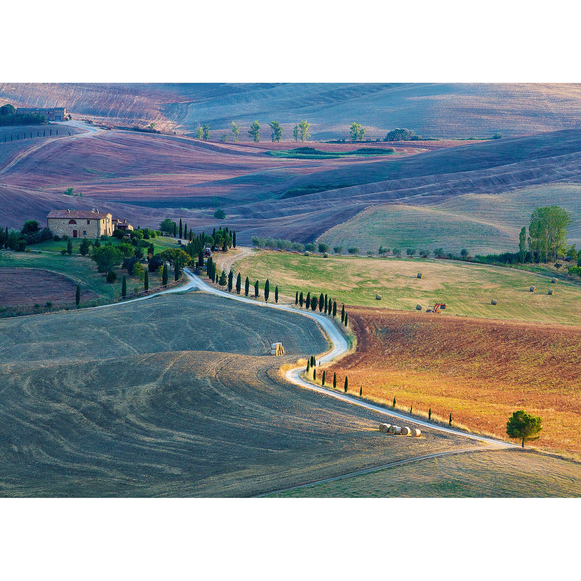 PUZZLE PIENZA, 1000 PIESE - RAVENSBURGER (SPA16779) - Libelula Vesela - Jucarii