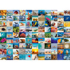 PUZZLE 99 DE CLIPE PETRECUTE LA MARE, 1000 PIESE - RAVENSBURGER (RVSPA16945) - Libelula Vesela - Jucarii