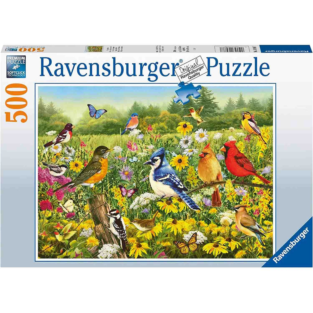 PUZZLE PASARELE COLORATE, 500 PIESE - RAVENSBURGER (RVSPA16988) - Libelula Vesela - Jucarii