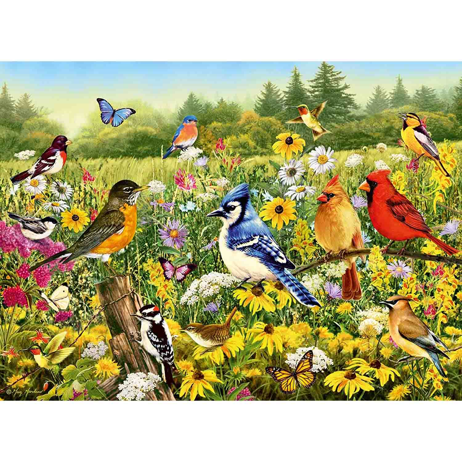 PUZZLE PASARELE COLORATE, 500 PIESE - RAVENSBURGER (RVSPA16988) - Libelula Vesela - Jucarii