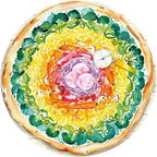 PUZZLE CERC PIZZA, 500 PIESE - RAVENSBURGER (RVSPA17347) - Libelula Vesela - Jucarii