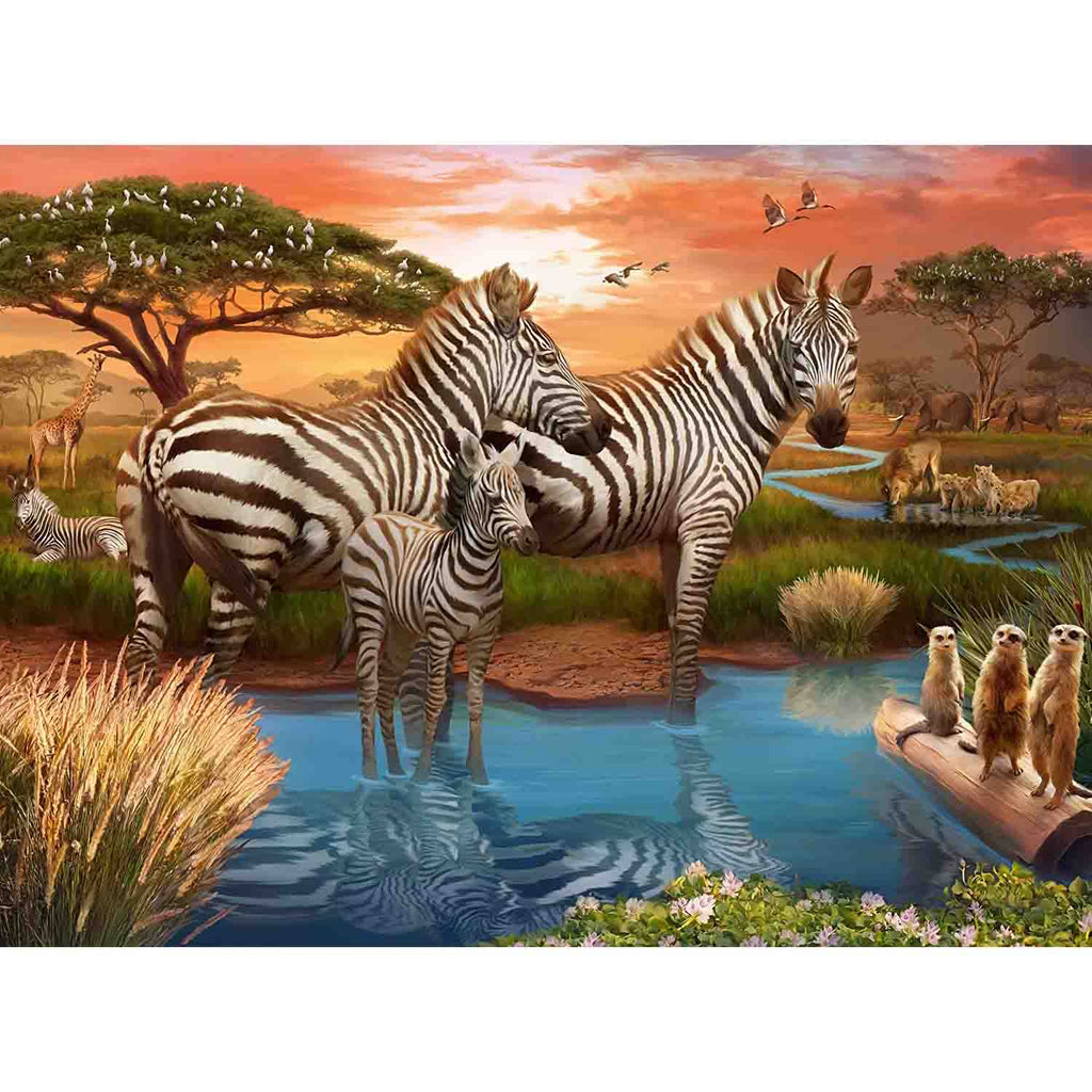 PUZZLE ZEBRE LA APA, 500 PIESE - RAVENSBURGER (RVSPA17376) - Libelula Vesela - Jucarii