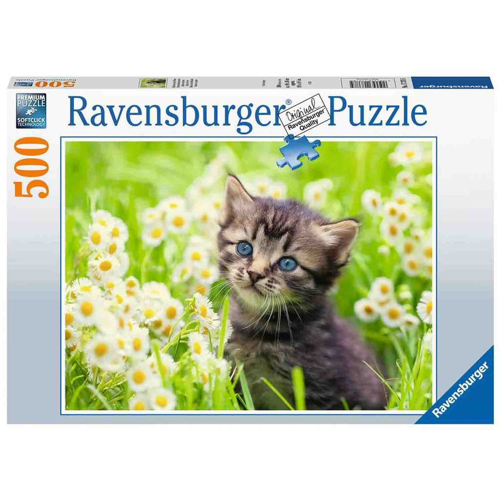 PUZZLE PISICUTA PE CAMP, 500 PIESE - RAVENSBURGER (RVSPA17378) - Libelula Vesela - Jucarii