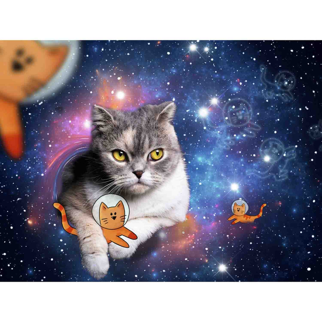 PUZZLE PISICUTE IN SPATIU, 1500 PIESE - RAVENSBURGER (RVSPA17439) - Libelula Vesela - Jucarii