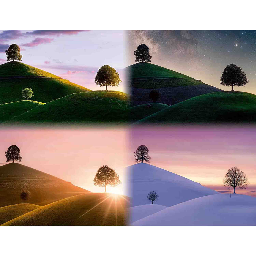 PUZZLE ANOTIMPURI, 2000 PIESE - RAVENSBURGER (RVSPA17443) - Libelula Vesela - Jucarii