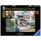 PUZZLE COLAJ COASTA DE VEST, 1000 PIESE - RAVENSBURGER (RVSPA17469) - Libelula Vesela - Jucarii