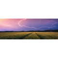 PUZZLE PANORAMA FULGER, 500 PIESE - RAVENSBURGER (RVSPA17491) - Libelula Vesela - Jucarii
