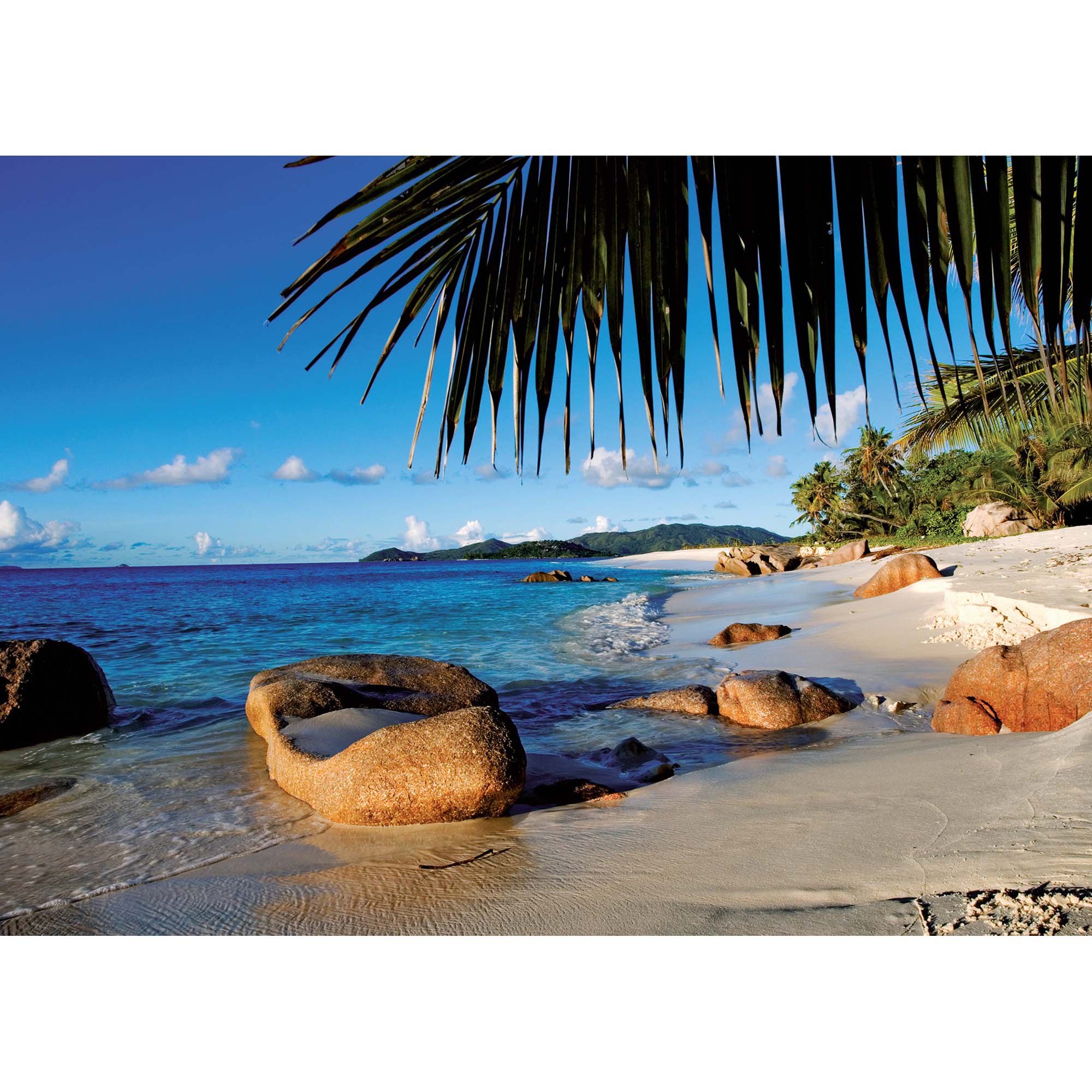 PUZZLE PALMIER LA PLAJA, 1000 PIESE - RAVENSBURGER (RVSPA19018) - Libelula Vesela - Jucarii