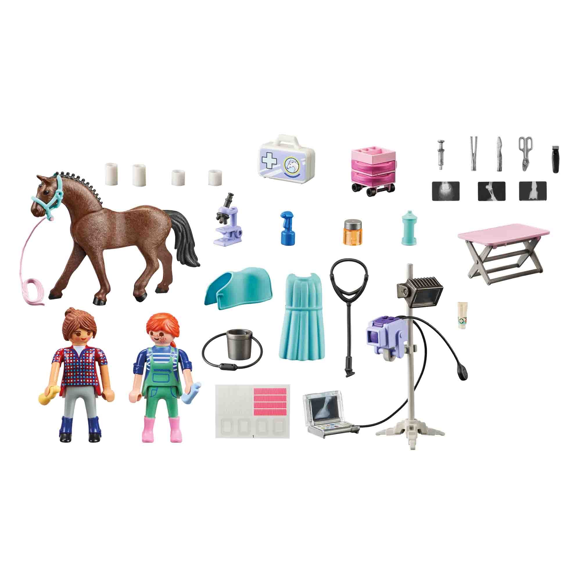 PLAYMOBIL - VETERINAR PENTRU CALUTI - PLAYMOBIL (PM71241) - Libelula Vesela - Jucarii