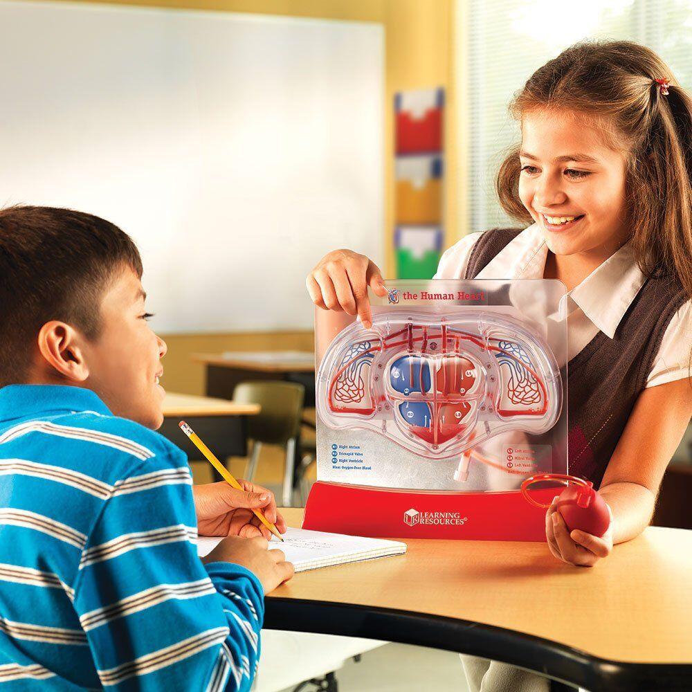 SABLON INIMA - POMPAREA SANGELUI - LEARNING RESOURCES (LER3535) Libelula Vesela