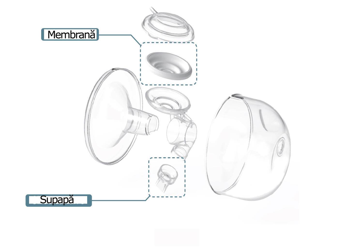 HANDS FREE CUPS SET (28 MM) - SPECTRA (ENAC039)