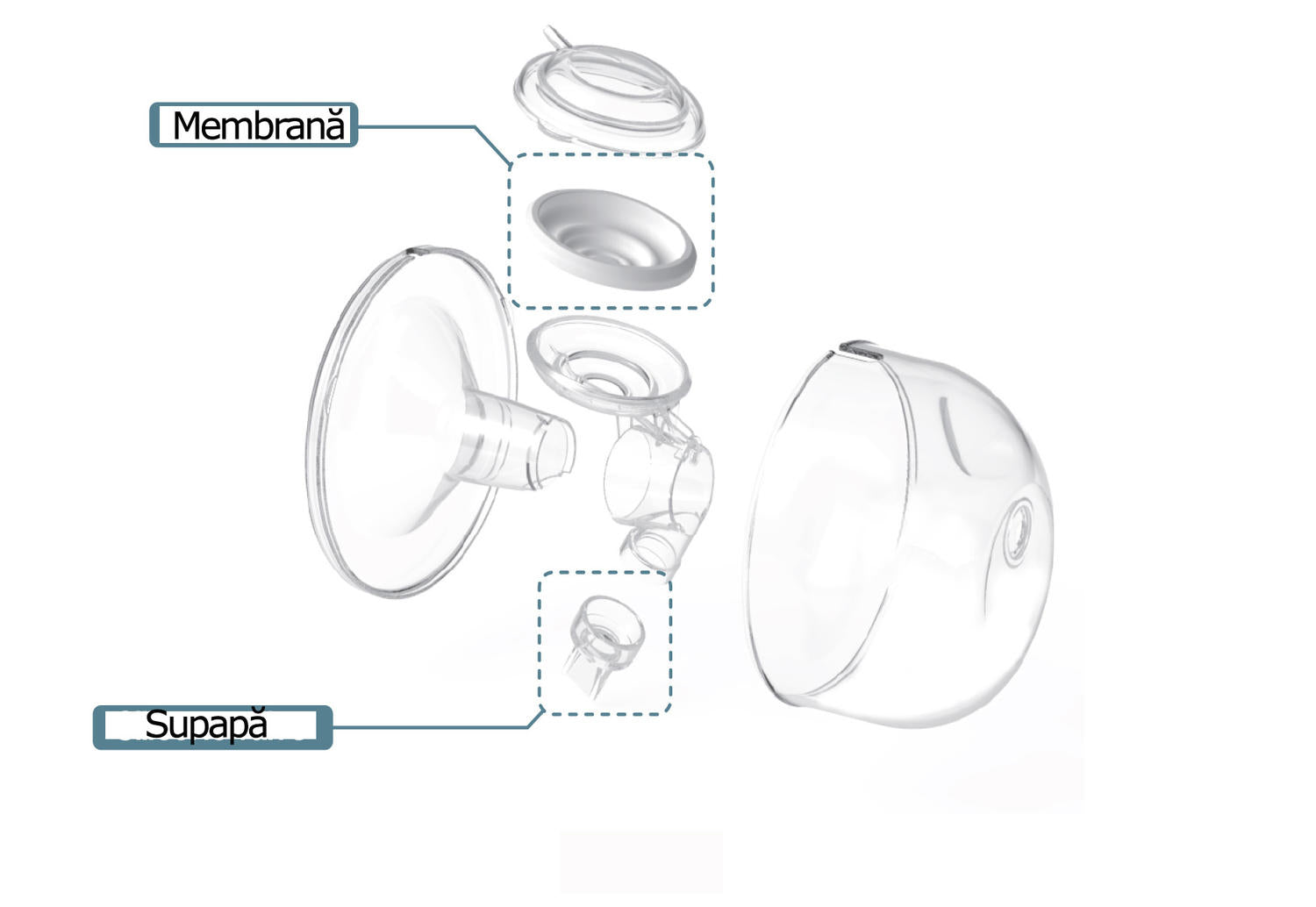 HANDS FREE CUPS SET (24 MM) - SPECTRA (ENAC038)