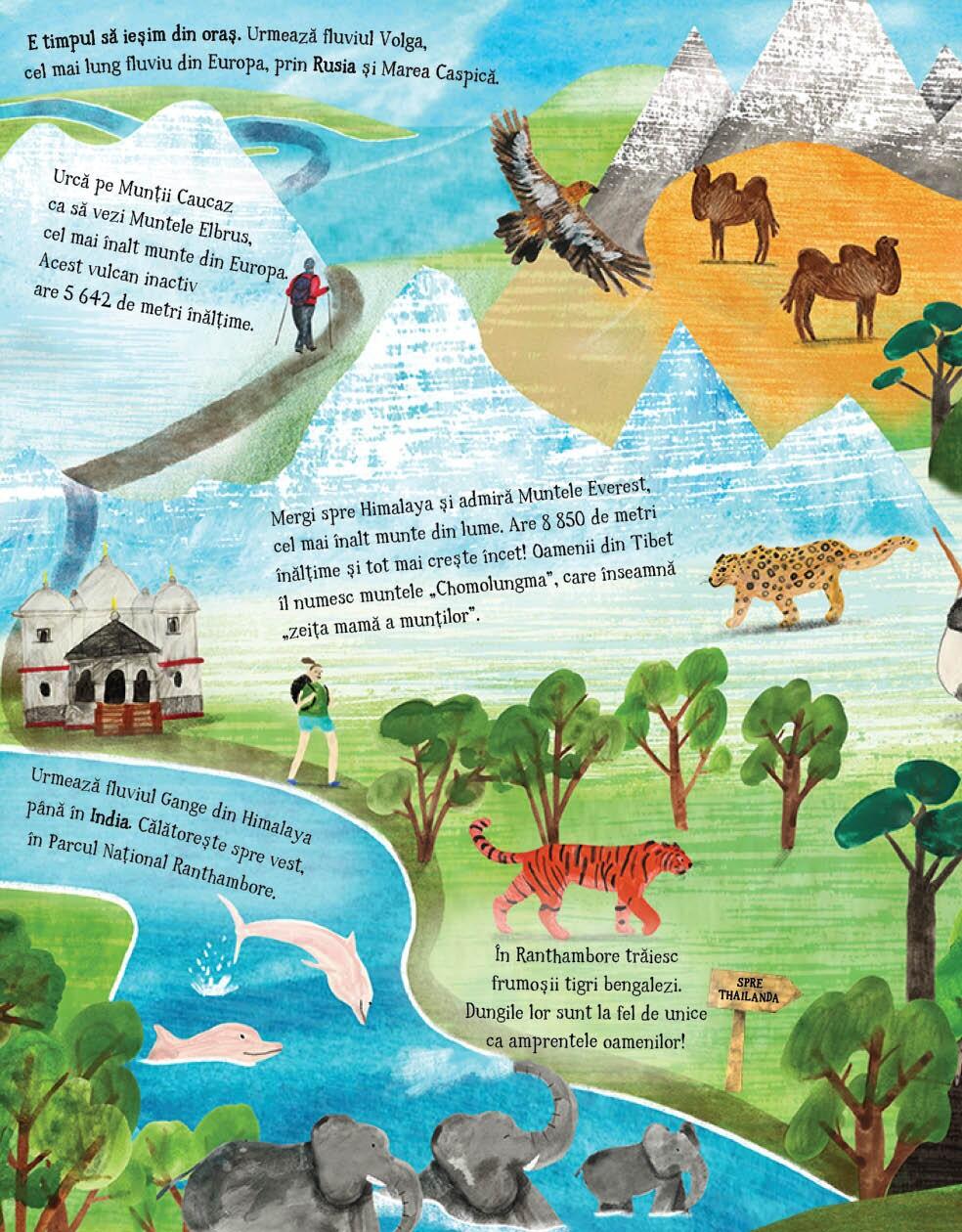 PAS CU PAS IN JURUL LUMII - DPH (978-606-048-251-2) - Libelula Vesela - Carti