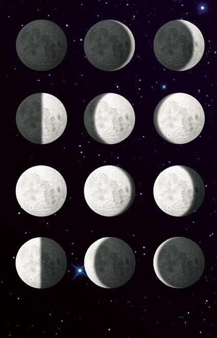 SET STEM - MODELUL LUNII CU TELECOMANDA - BRAINSTORM (E2003) - Libelula Vesela - Jucarii