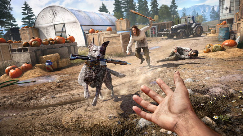 FAR CRY 5 - UPLAY - PC - EMEA Libelula Vesela Jocuri video
