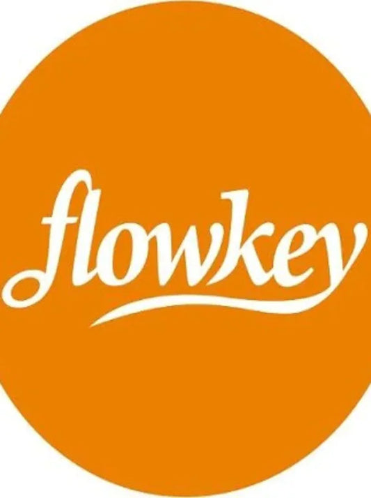 FLOWKEY - 3 MONTHS SUBSCRIPTION VOUCHER - OFFICIAL WEBSITE - MULTILANGUAGE - WORLDWIDE - PC - Libelula Vesela - Jocuri video
