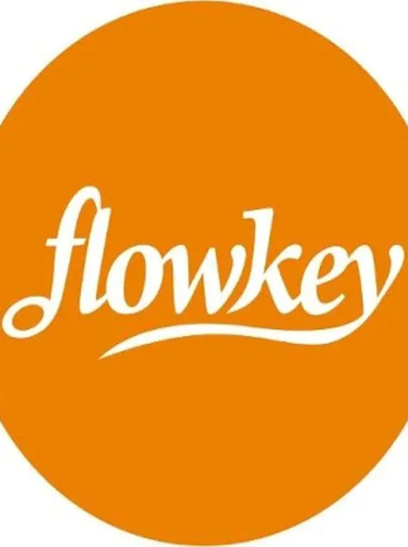 FLOWKEY - 3 MONTHS SUBSCRIPTION VOUCHER - OFFICIAL WEBSITE - MULTILANGUAGE - WORLDWIDE - PC - Libelula Vesela - Jocuri video