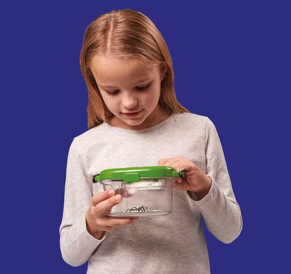 OBSERVATORUL PENTRU INSECTE - BRAINSTORM (E2061) - Libelula Vesela - Jucarii