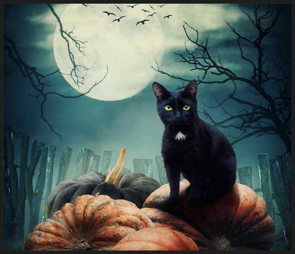 PROIECTOR TIP LANTERNA - DRAGON SI VRAJITOR - BRAINSTORM (E2079) - Libelula Vesela - Jucarii