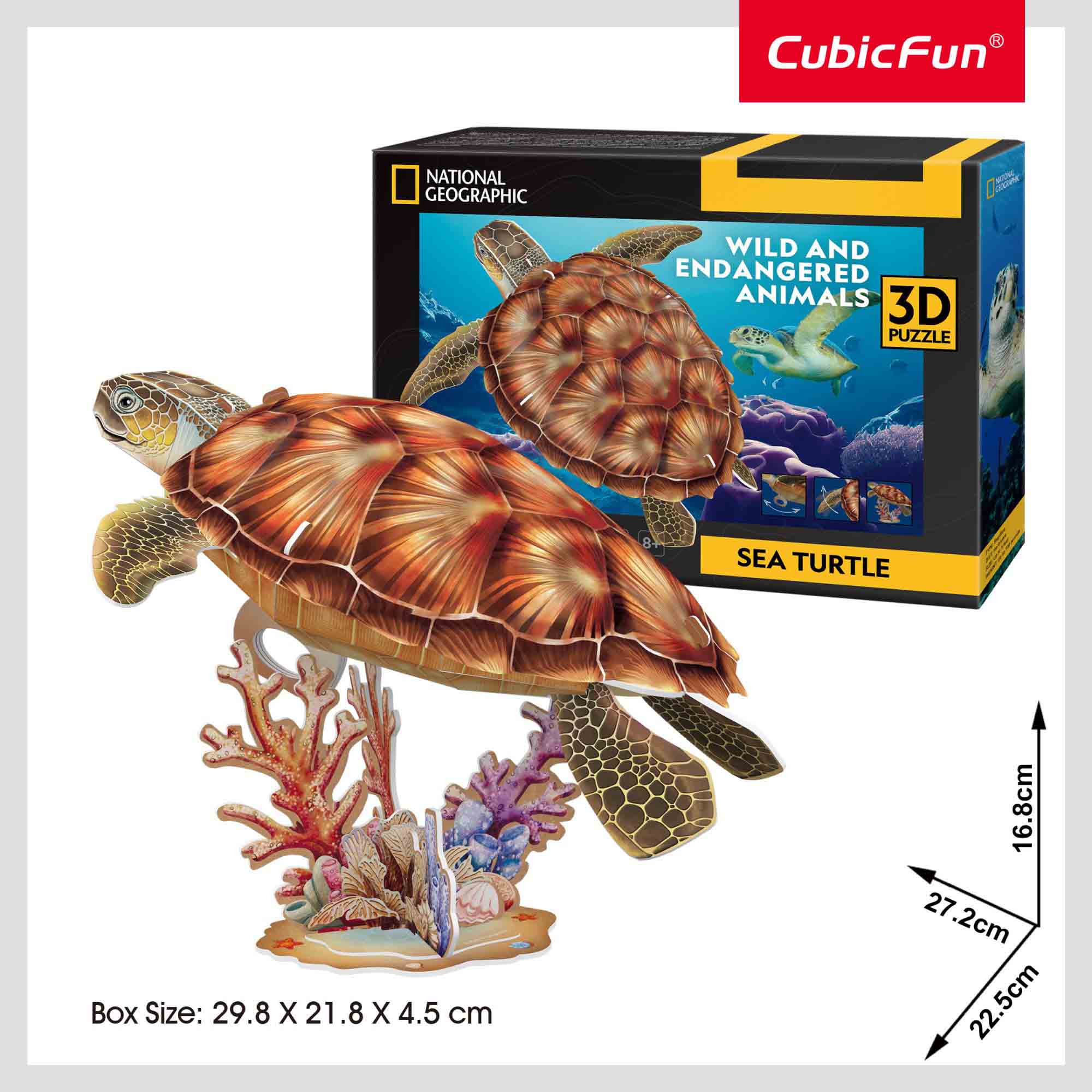PUZZLE 3D TESTOASA MARINA 31 PIESE - CUBICFUN (CUDS1080h) - Libelula Vesela - Jucarii