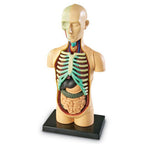 SABLON - CORP UMAN (LER3336) - Libelula Vesela - Jucarii